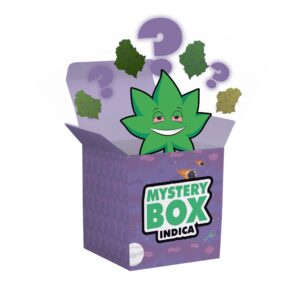 buy magic mushrooms