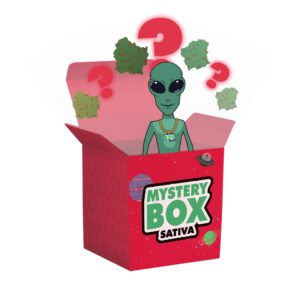 out of office gummies