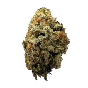graines de cannabis