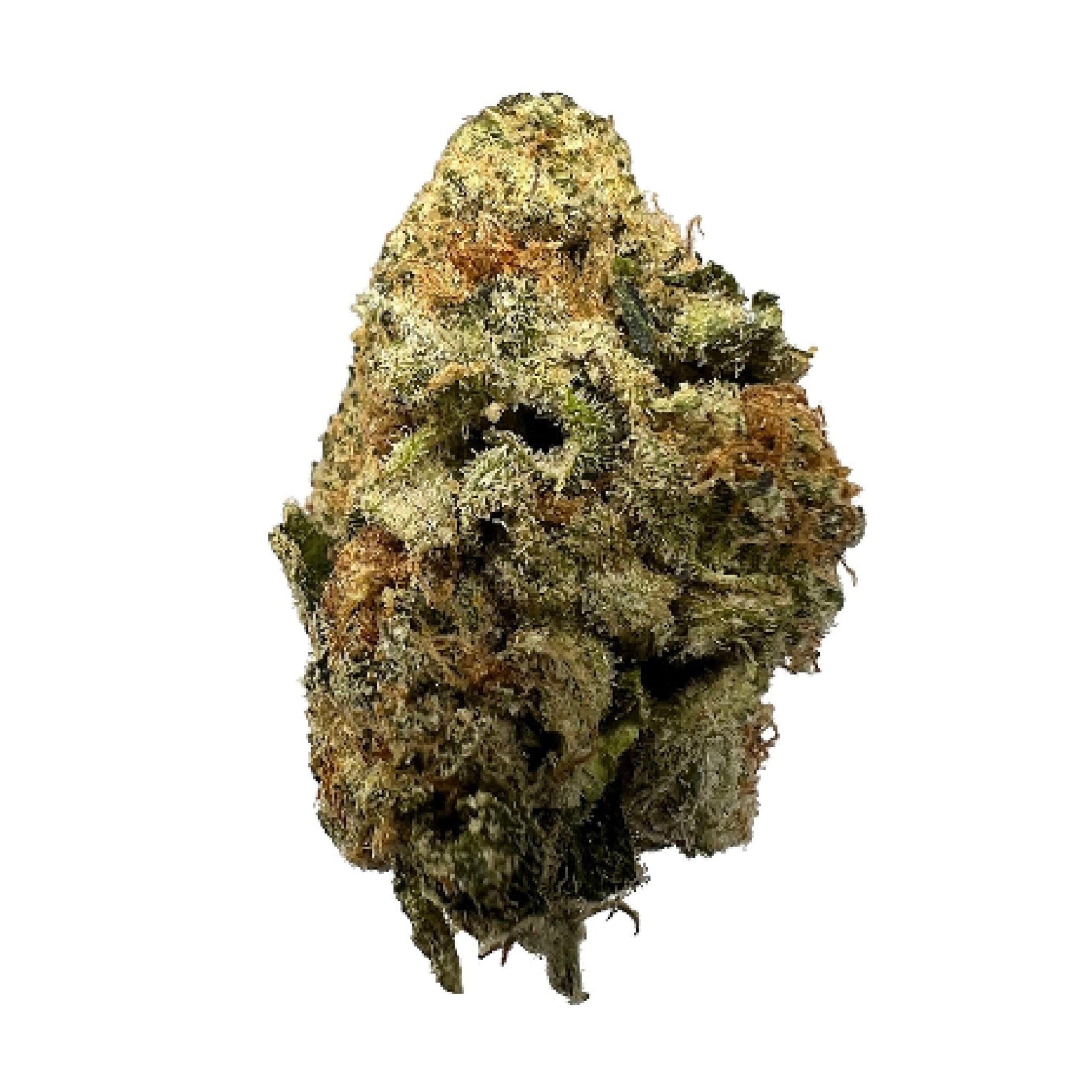 graines de cannabis